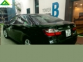 Cars for forginner by monthly and yearly