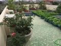 Private house for rent in Hai Phong