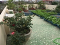 Private house for rent in Hai Phong